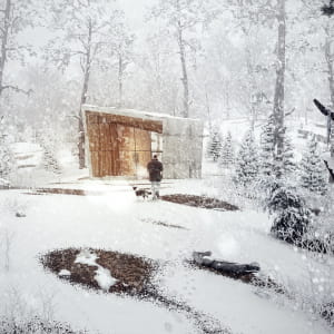 Winter Holiday House
