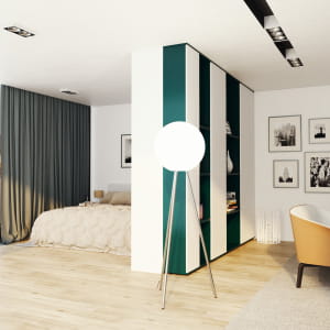 Livingroom and bedroom