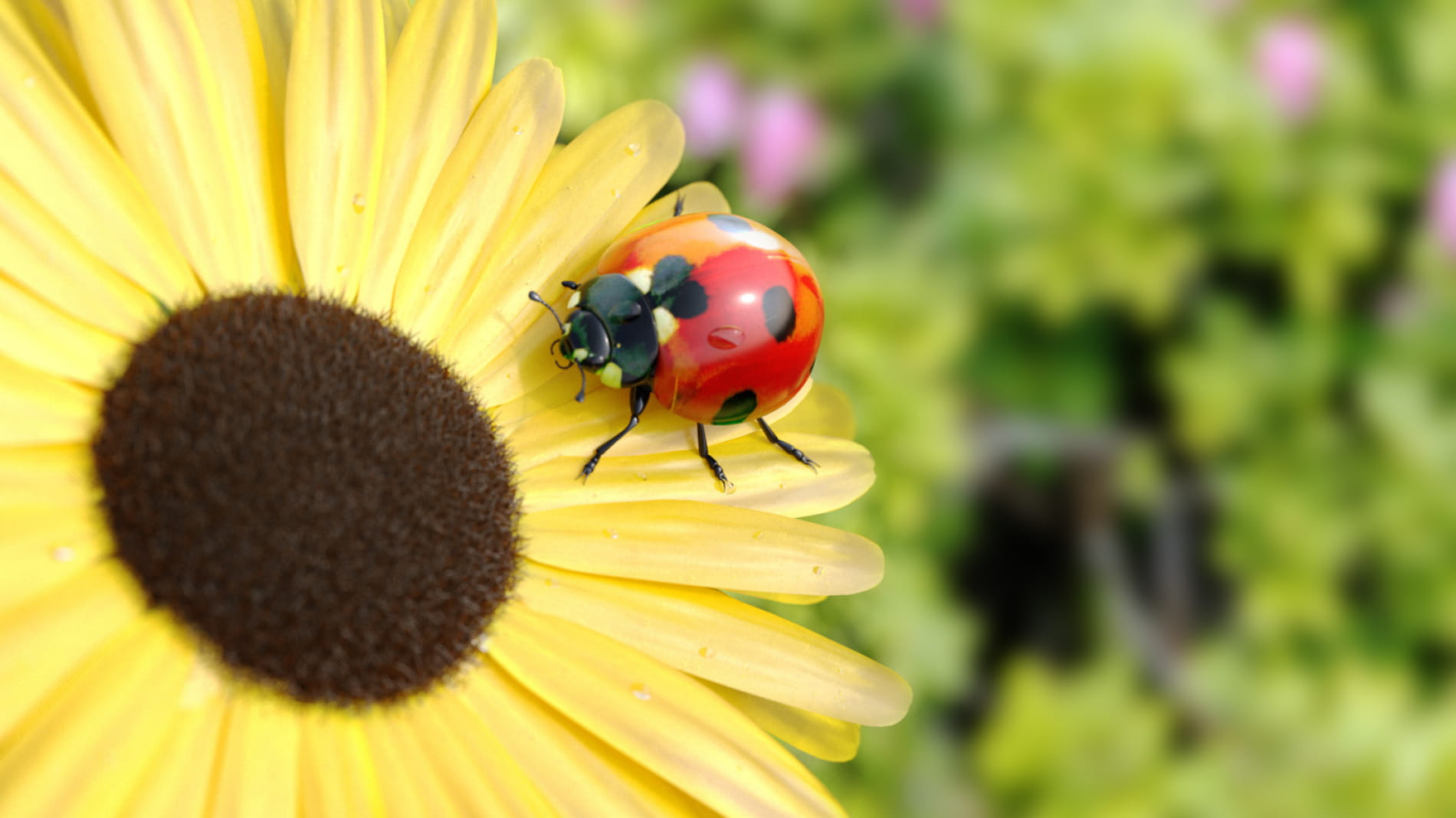 the-ladybug