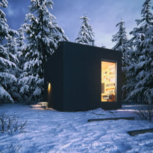 Winter guest house in woods