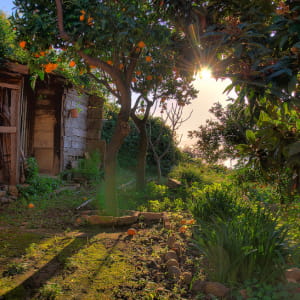 my secret garden- Jonathan Hidalgo