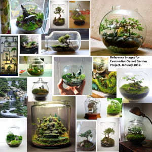 Terrarium: A Tiny Secret Garden