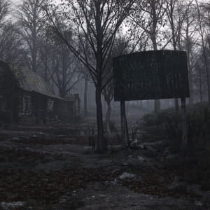 Foggy Forest