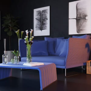 Paola lenti  interior