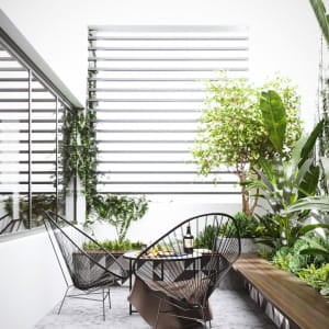 Rooftop Landscape