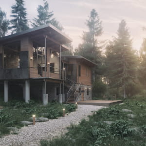 Forest House 2.0 - Exteriors and Interiors