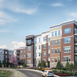 The Vine Apartments