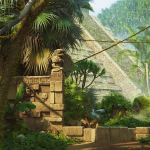 Jungle environment 360