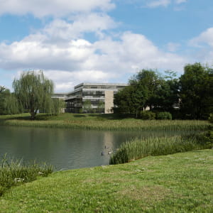 Business Park in the Park