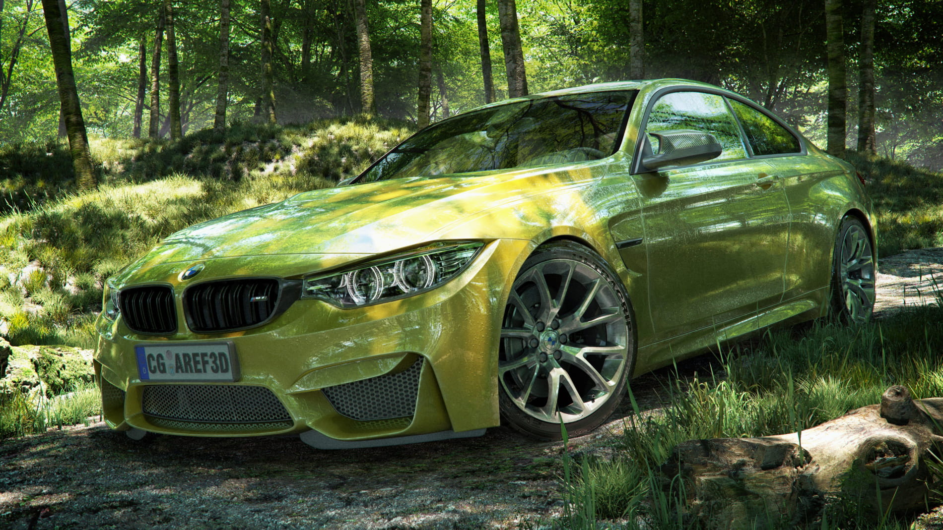bmw-in-forest-road