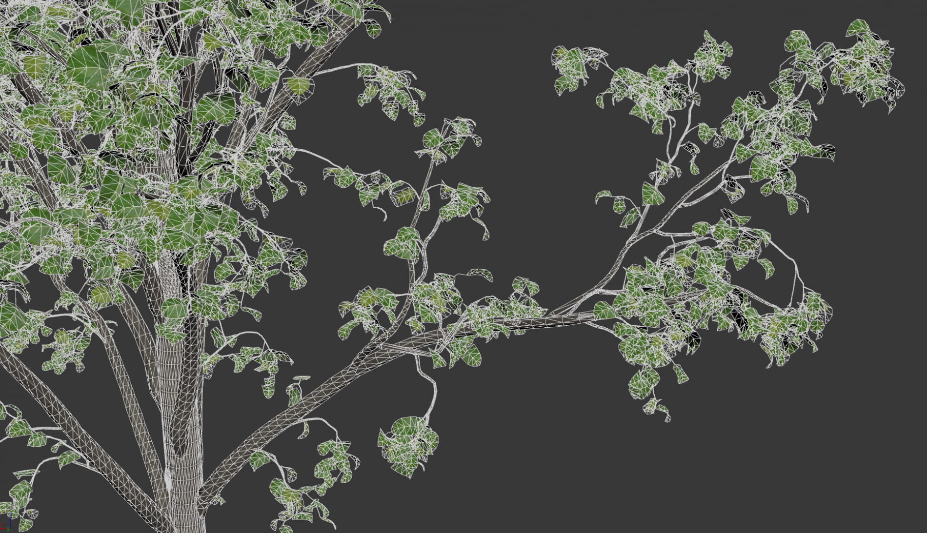 animated-trees-fstorm-render