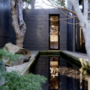 Tadao Ando Inspiration