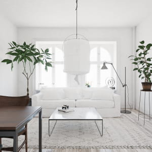 Scandinavian Interior