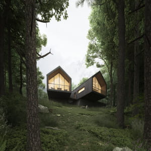 House In The Forest Of Sweden