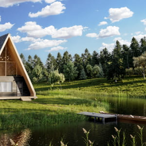 House in the forest