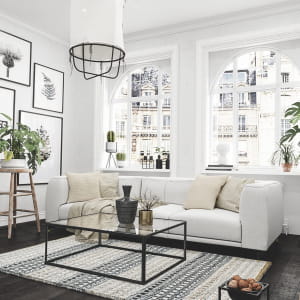 Scandinavian Apartment