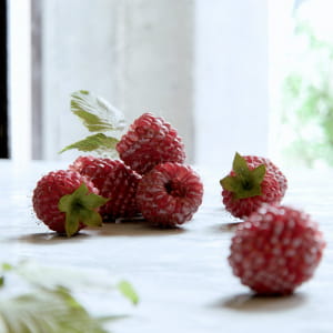 FStorm + Raspberries