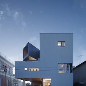 The White Nest