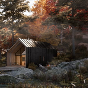 Cabin in the forest Autumn