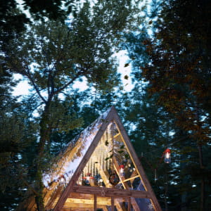 A Frame Glass House in Forest,