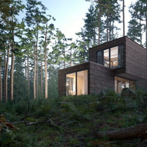 Sustainable Housing - Prefab Home In The Woods