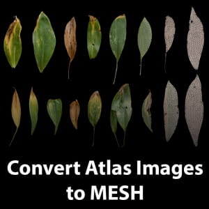 How to convert Atlas Images ( Photo scanning ) to Mesh