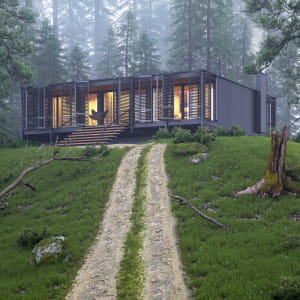 Forest House