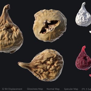 3D Scanned Assets