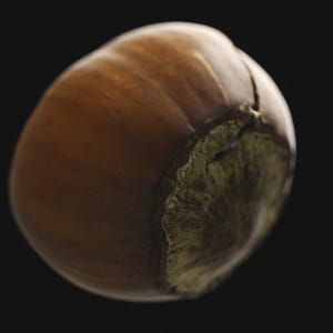 Just Hazelnuts!!!