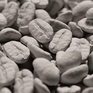 3D Scanned Coffee beans