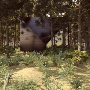 Forest House03