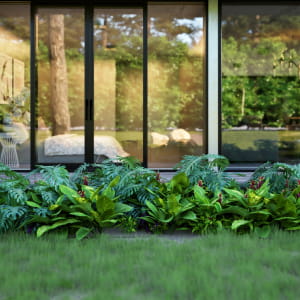 Cabin in the wood