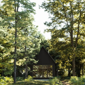 Forest cabin