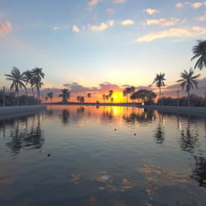 Kerala backwater