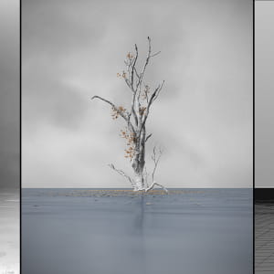 Pictures from Corona Land #3 - All shades of water