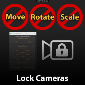 Lock All Cameras in 3dsMax Scene