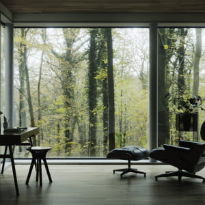 Autumn mood forest interior design