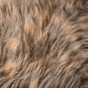 Fur (Redshift + Ornatrix)