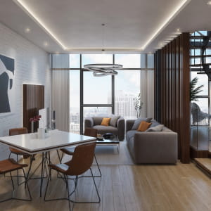 doublex Apartment in Dubai