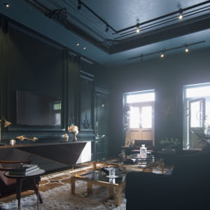 Dark Living room