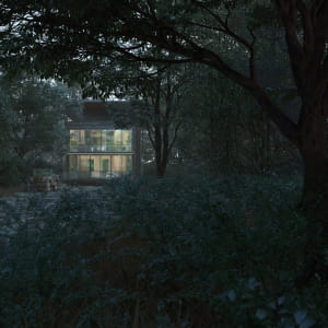 Modern Forest House
