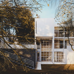 white house