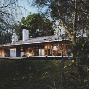 the cabin
