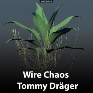 Wire Chaos | Tommy Dräger