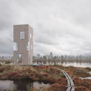 Estonian Bog