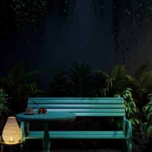 Backyard  - Lush Green