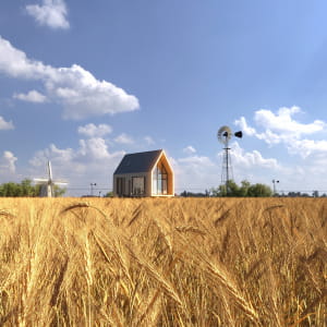 HOUSE wheat