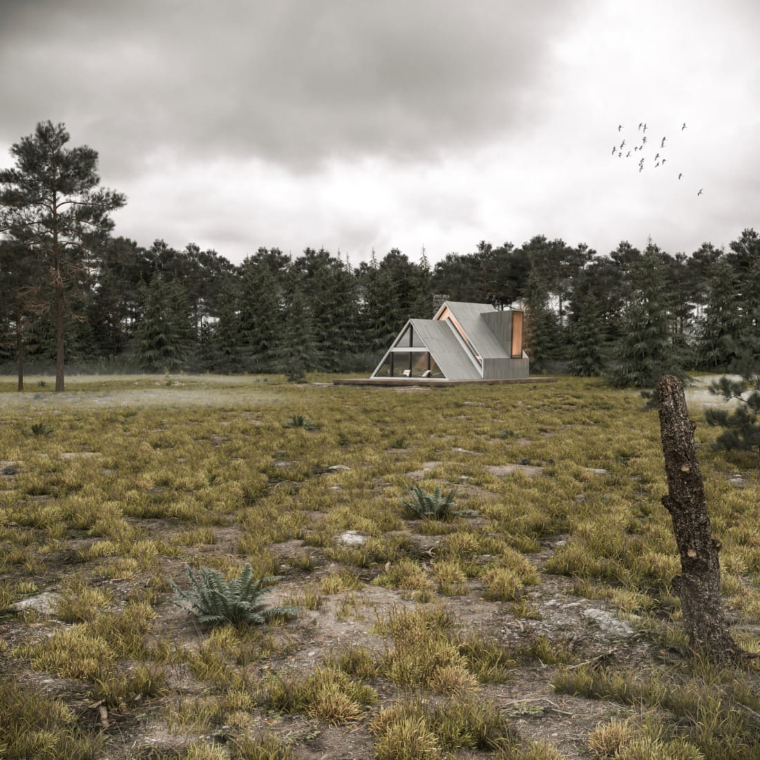 modern-cottage-in-forest