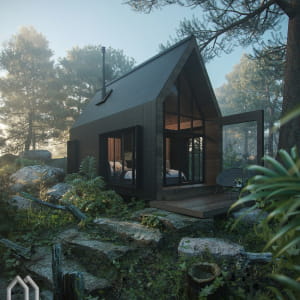 The forest house