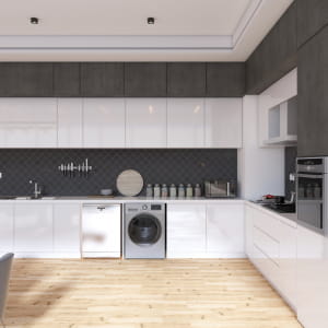 White and black kitchen